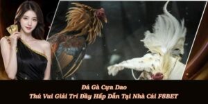 Đá Gà Cựa Dao – Trải nghiệm đối kháng gay cấn chỉ có ở f8bet