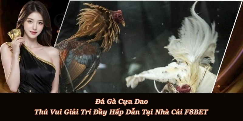 Đá Gà Cựa Dao – Trải nghiệm đối kháng gay cấn chỉ có ở f8bet