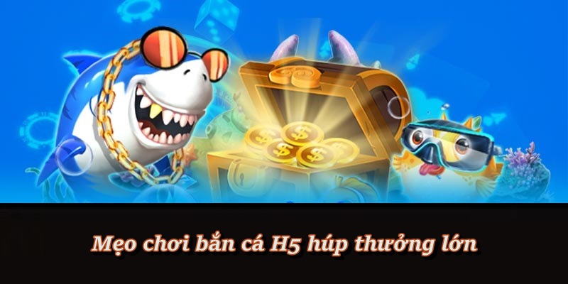 Bí kíp giúp tăng cơ hội trúng lớn khi chơi H5 Bí kíp giúp tăng cơ hội trúng lớn khi chơi H5